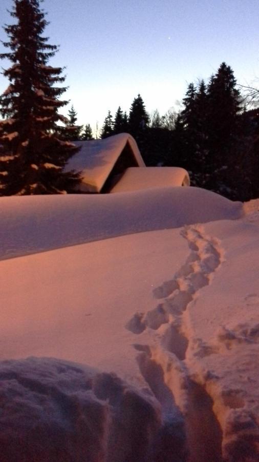 Chalet Camomille Les Gets Exterior foto